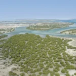 Frontier25 Unveils 2026 UAE Methane Roadmap to Supercharge Climate Action