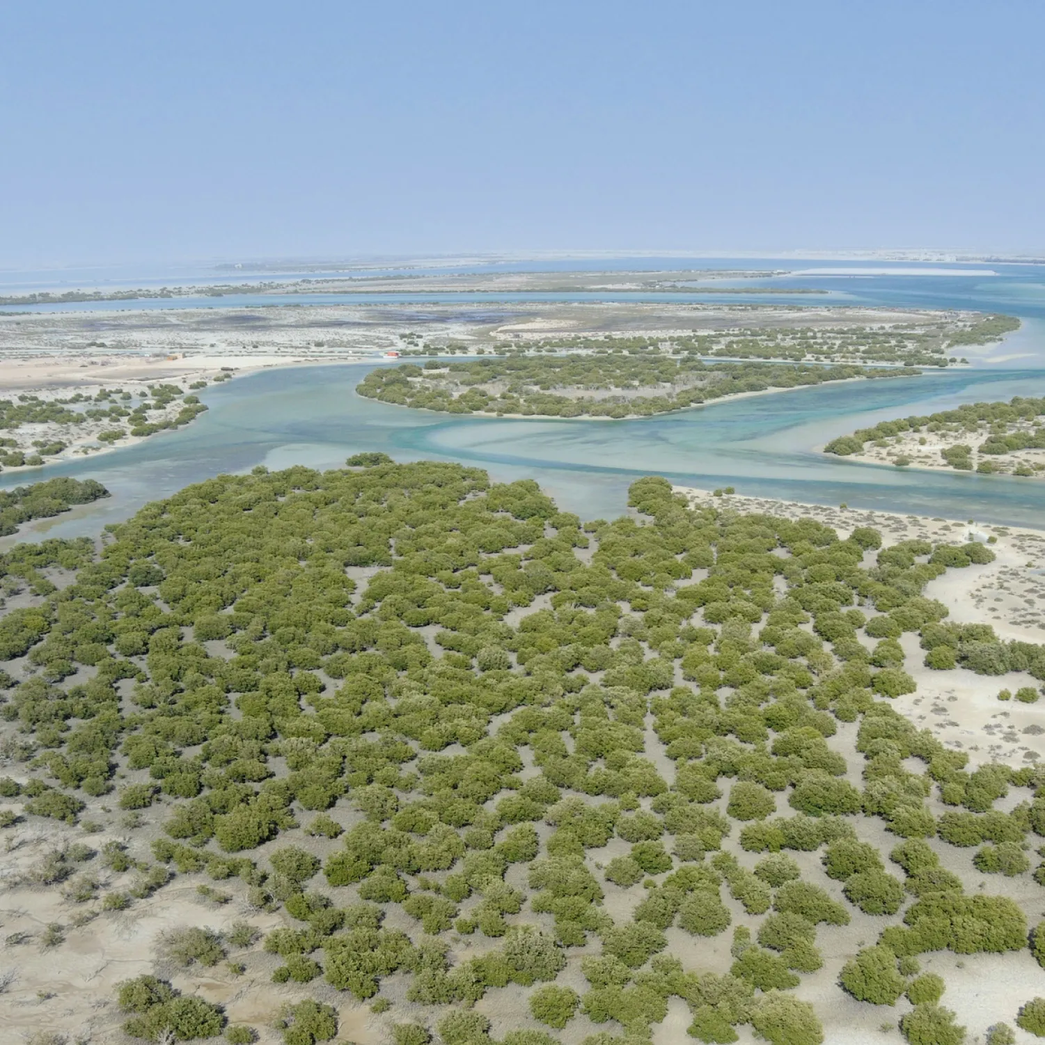 Frontier25 Unveils 2026 UAE Methane Roadmap to Supercharge Climate Action