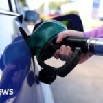Fueling the Fire: Trump Faces Growing Backlash Over Russian Diesel Imports