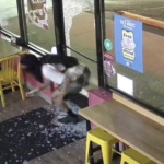 Glazed and Resilient: Northland Community Rallies Behind Duck Donuts After Break-in