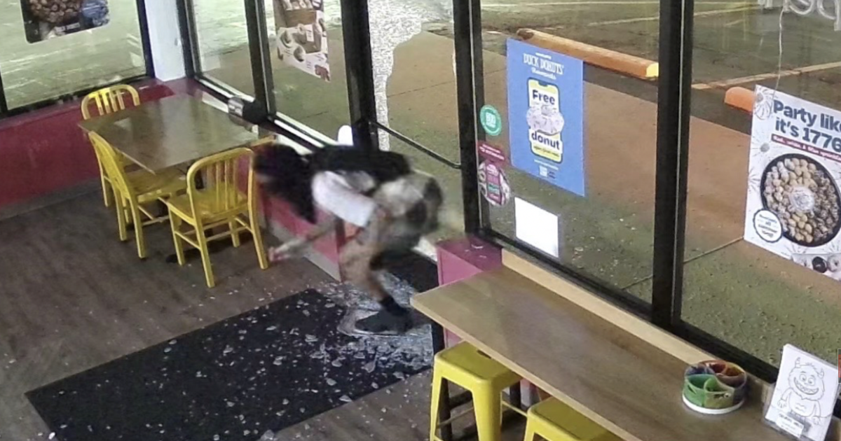 Glazed and Resilient: Northland Community Rallies Behind Duck Donuts After Break-in