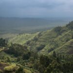 Global Canopy Clears: Congo Basin Emerges as New Frontline in Deforestation Crisis