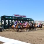 Global Gaming Solutions Bets Big on Wyoming with Strategic Racetrack Acquisition