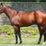 Golden Pal’s Prodigy Leaves Rivals in the Dust with 18-Length Romp