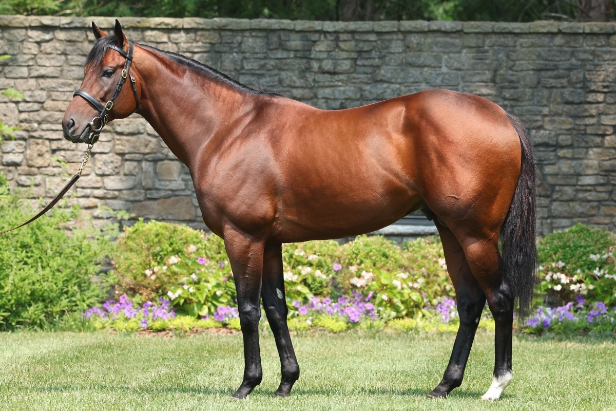 Golden Pal’s Prodigy Leaves Rivals in the Dust with 18-Length Romp