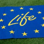 Green Gold: EU Unleashes €390 Million to Fast-Track Planet-Saving Breakthroughs