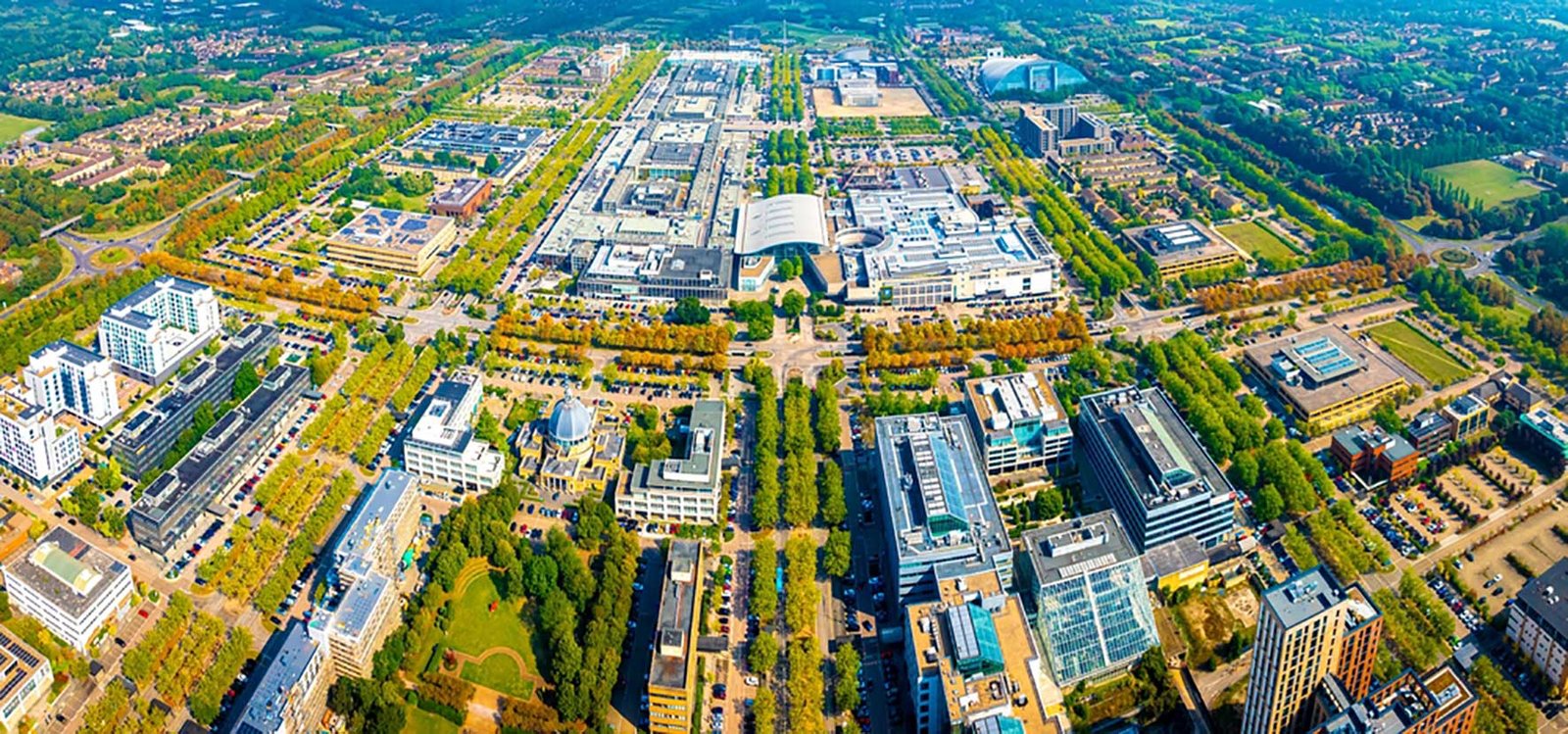Green Gold: Five Milton Keynes Sustainability Grants Fueling Local Business Growth