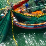 Green Ultimatum: NGOs Force Commission’s Hand on Climate Accountability