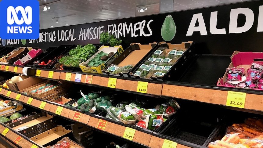 Greens-Gate: Perfection Fresh Admits to Price-Fixing Plot Targeting Aldi Shelves