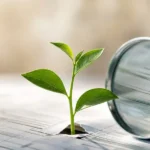 Greenwashing Under Fire: ESMA Sets New Gold Standard for Climate Claims