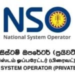 Grid Collapse: National Blackout Plunges Island into Total Darkness