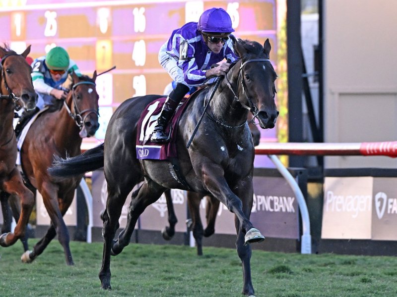 Gstaad Calls Time on Glittering Career: Record-Breaking Champion Joins Coolmore Ranks