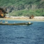 Guardians of the Archipelago: Why India’s Isolated Tribes Must Govern Their Own Survival