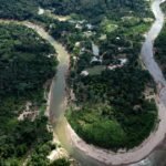 Guardians of the Canopy: How Indigenous Sovereignty is Defeating Eco-Crime