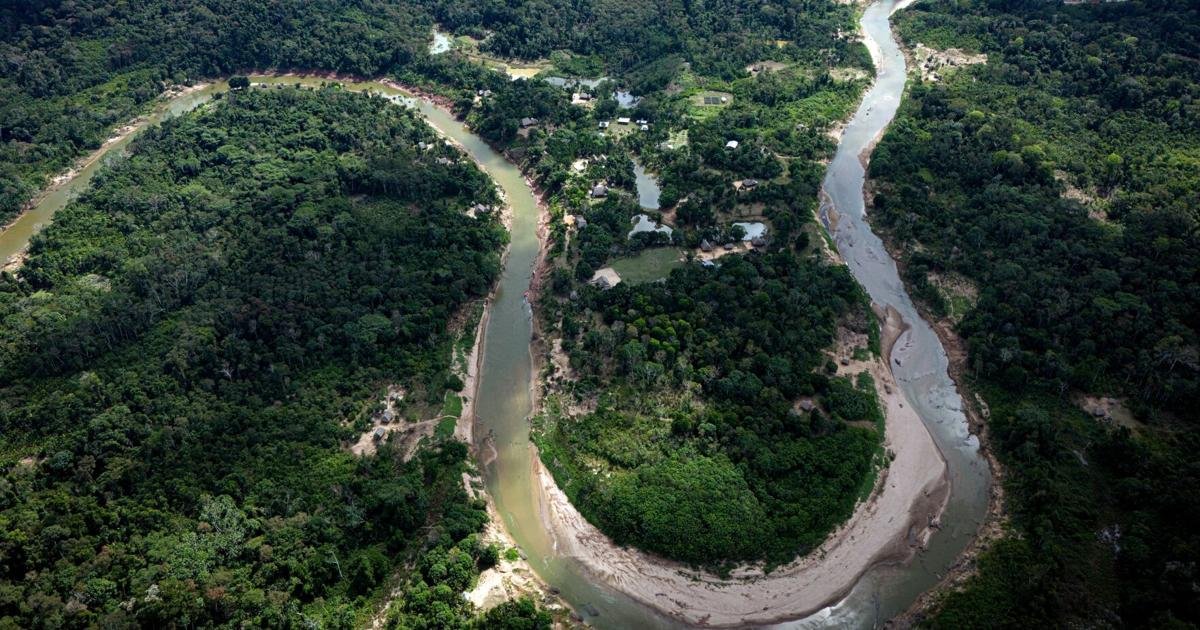 Guardians of the Canopy: How Indigenous Sovereignty is Defeating Eco-Crime
