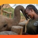 Guardians of the Giants: How Local Women Are Rewriting the Future of Elephant Conservation