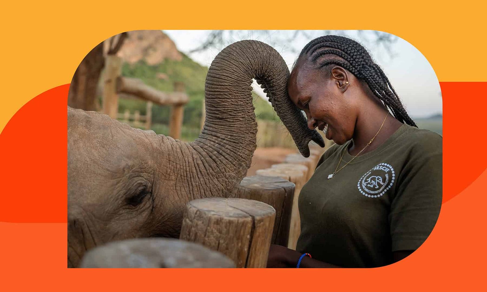 Guardians of the Giants: How Local Women Are Rewriting the Future of Elephant Conservation