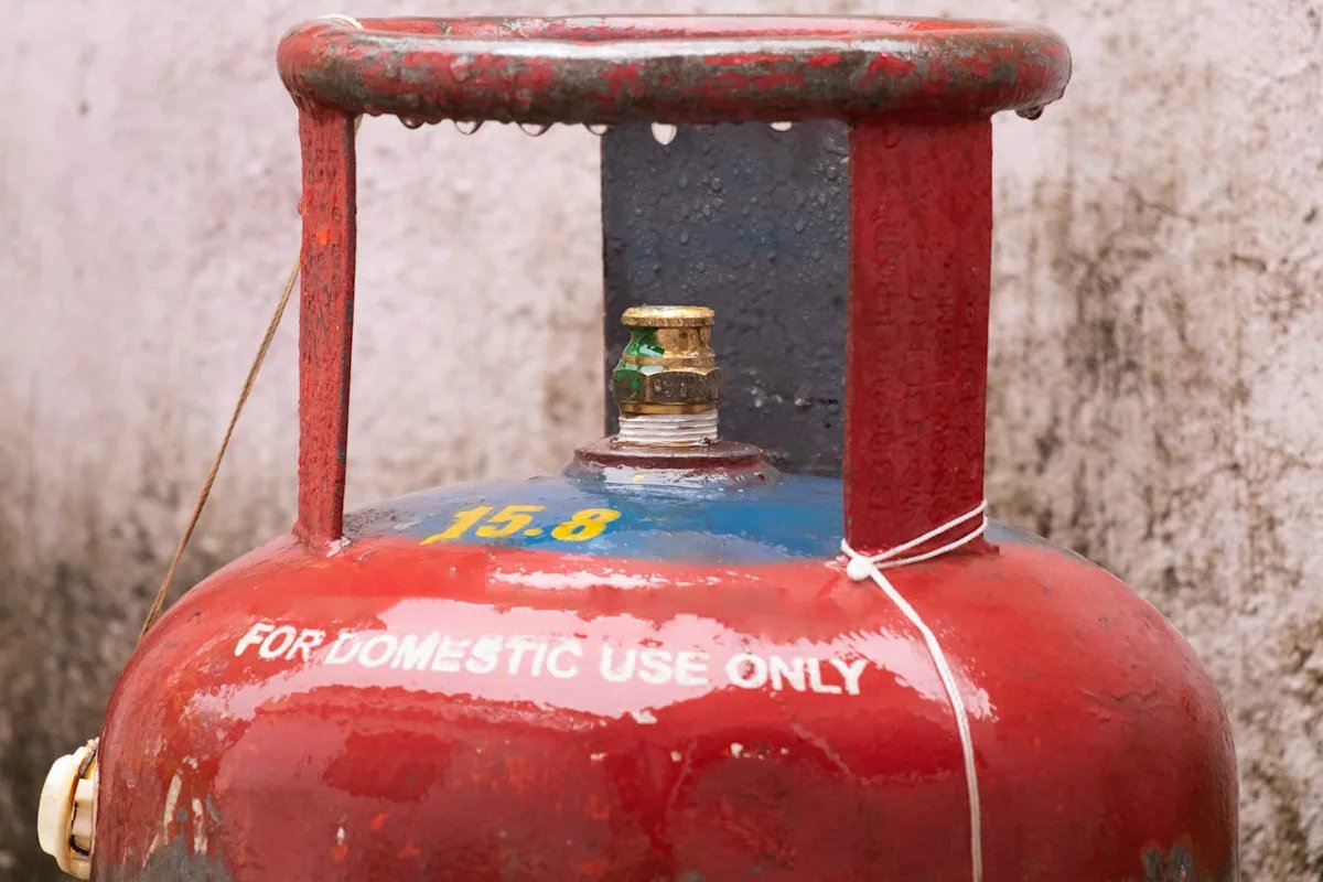 Hissing Hazard: Indian Woman Finds Eight-Foot Serpent Coiled Behind Kitchen Gas Cylinder