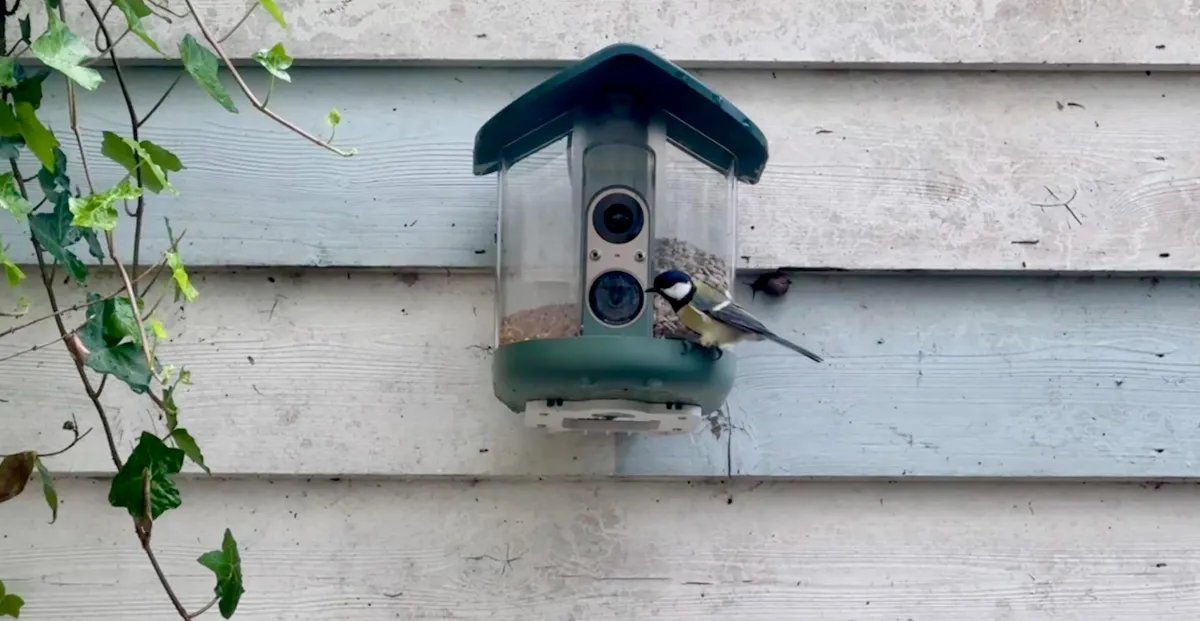 I Fed the Machine: My Short-Lived Romance with a Silicon Songbird
