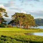 Killarney’s Mahony’s Point Set for Dramatic Face-Lift to Reclaim Championship Glory