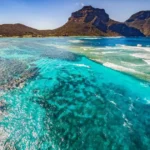 Kiwi Waters, Global Cause: New Zealand Joins Landmark Pact to Shield Pacific Reefs