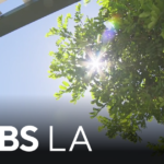 L.A.’s Mercury Rising: Small Businesses Scorch Under Unrelenting Heatwave