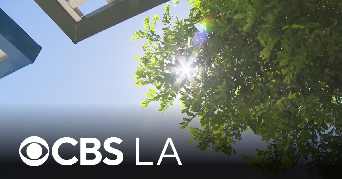 L.A.’s Mercury Rising: Small Businesses Scorch Under Unrelenting Heatwave