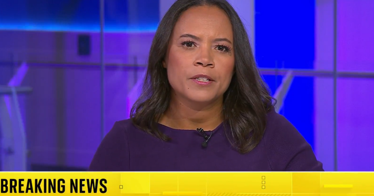 Live Airwaves Interrupted: Sky News Jolted by Shocking Development in 'Senseless' Murder Probe