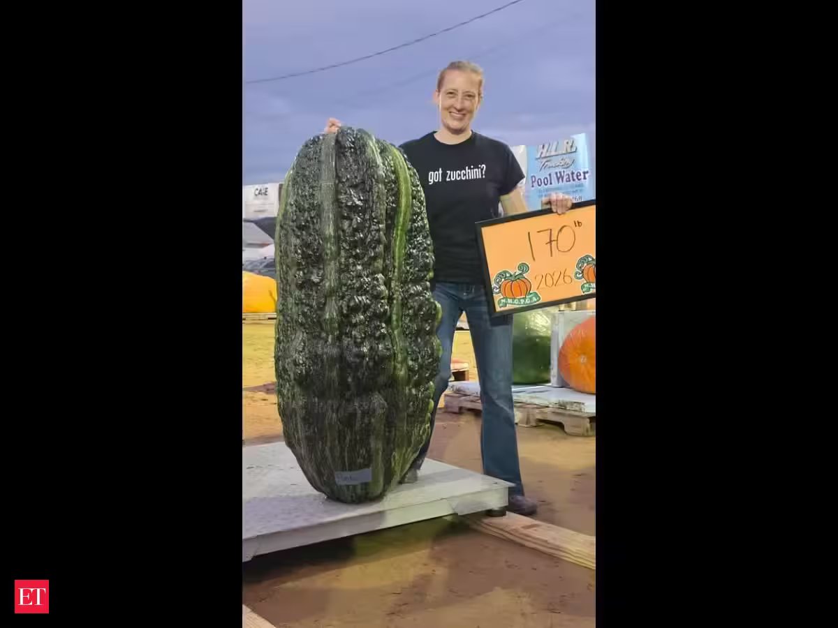 Maine Woman’s 170-Pound Zucchini Claims North American Crown After Rival’s Split Decision