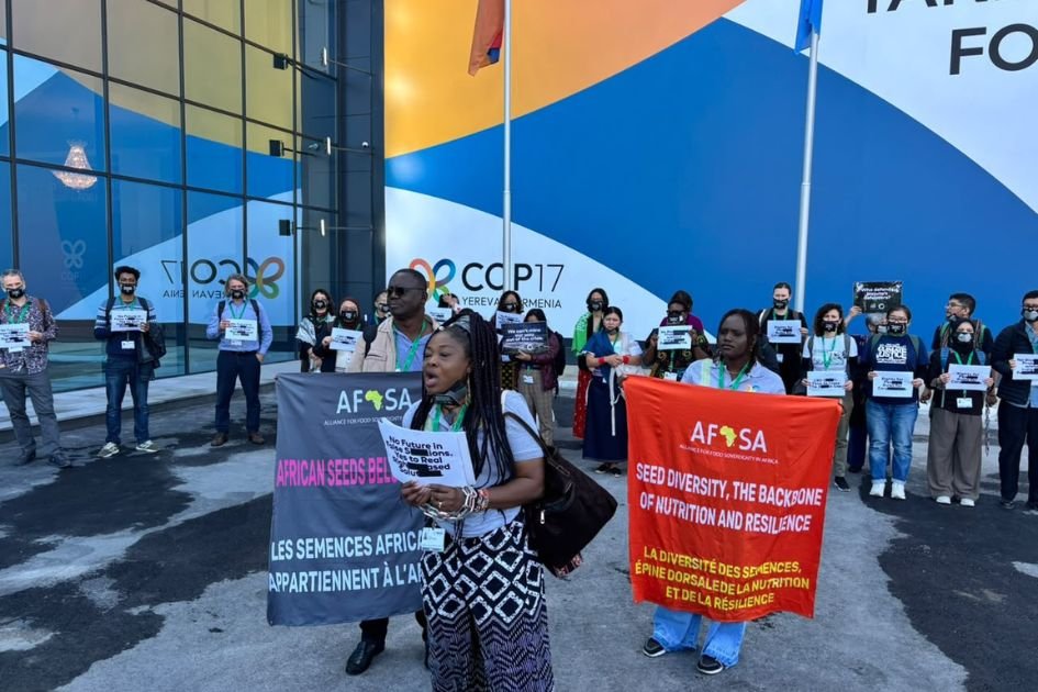 Masked in Silence: COP17 Activists Demand Justice for Earth’s Endangered Guardians