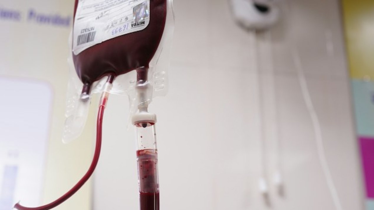 Mexico Sets New Standard: Blood Bank Overhaul Slated for 2027