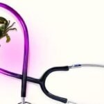 Mumbai’s Oncology Breakthrough: Biosimilars Shatter Price Barriers to Life-Saving Immunotherapy