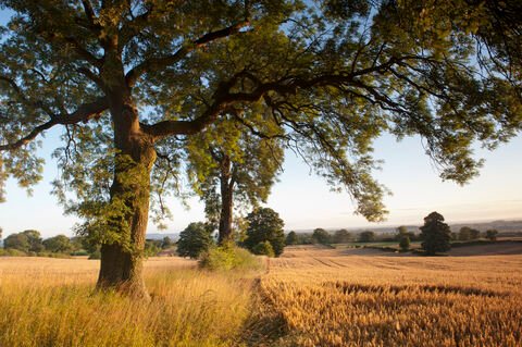 Nature’s Deficit: England’s Green Farming Revolution Hits a Funding Wall
