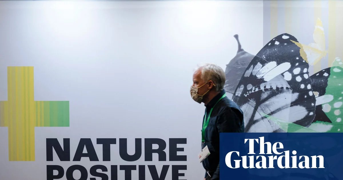 Nature’s Last Stand: Your Essential Guide to the UN’s COP17 Biodiversity Summit