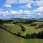 Nature’s Ledger: New Habitat Bank Turns Biodiversity Into Developer Currency