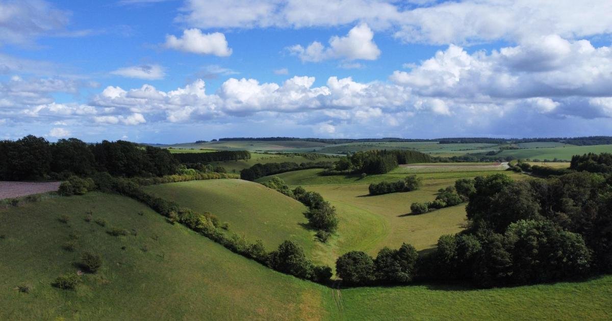 Nature’s Ledger: New Habitat Bank Turns Biodiversity Into Developer Currency
