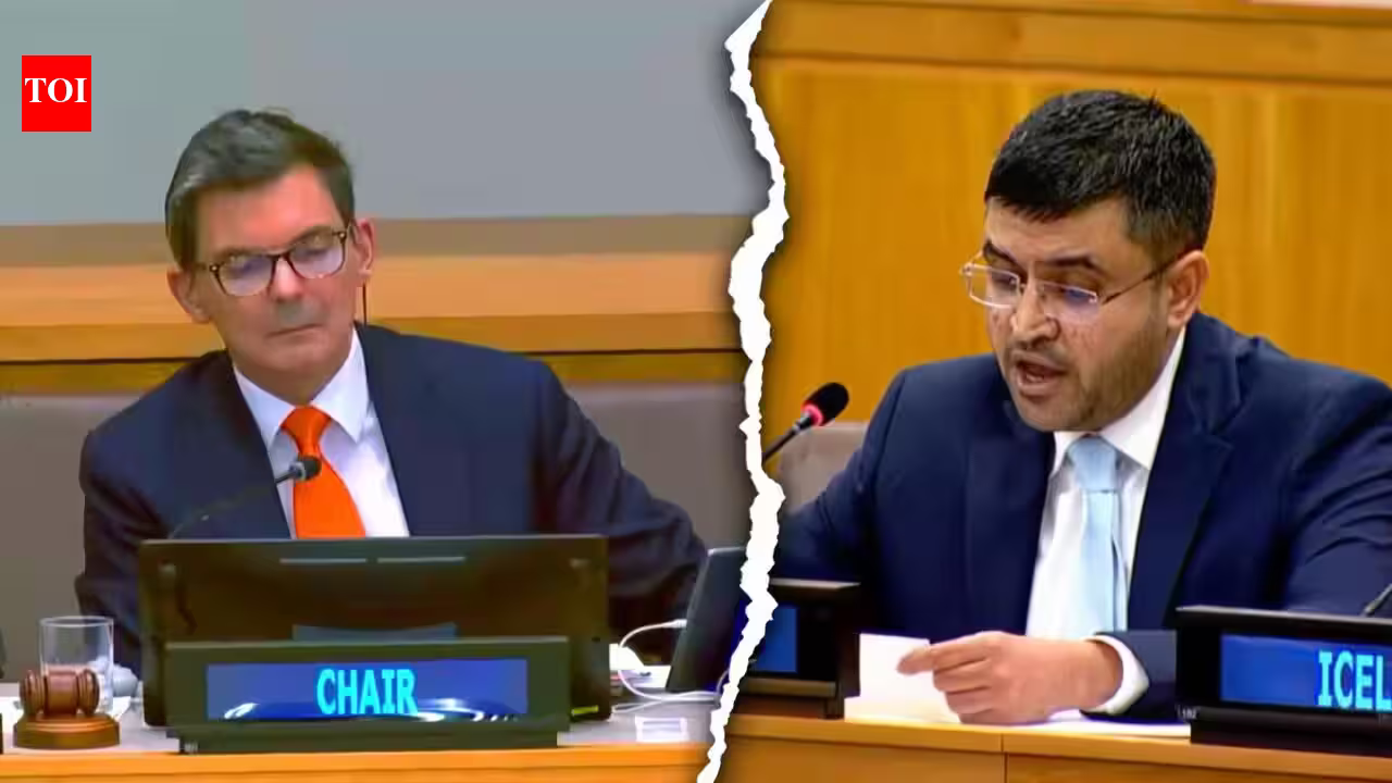 New Delhi Slams UN Rapporteur for ‘D-Company’ Fable in Blistering Rebuke
