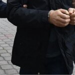 Operation Green Sweep: Interpol Nets 233 in Massive Latin American Environmental Crackdown