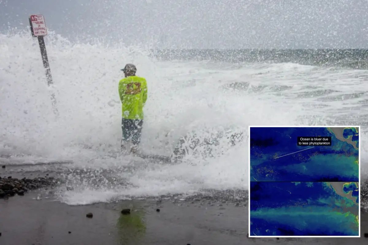 Pacific Turn: Super El Niño Triggers Massive Oceanic Color Shift