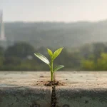 Pakistan Revives Dormant Environmental Fund in Landmark Climate Pivot