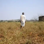 Parched Horizons: India Endures Driest Monsoon in Over a Decade