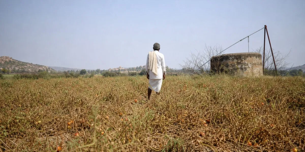 Parched Horizons: India Endures Driest Monsoon in Over a Decade