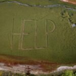 Parched Paradise: Alpine Jewel Withers as Record Heat Drains Iconic Lake