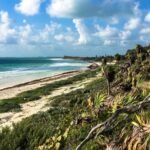 Paving Over Paradise: Conservationists Sound Alarm as Asphalt Advances into Sian Ka’an