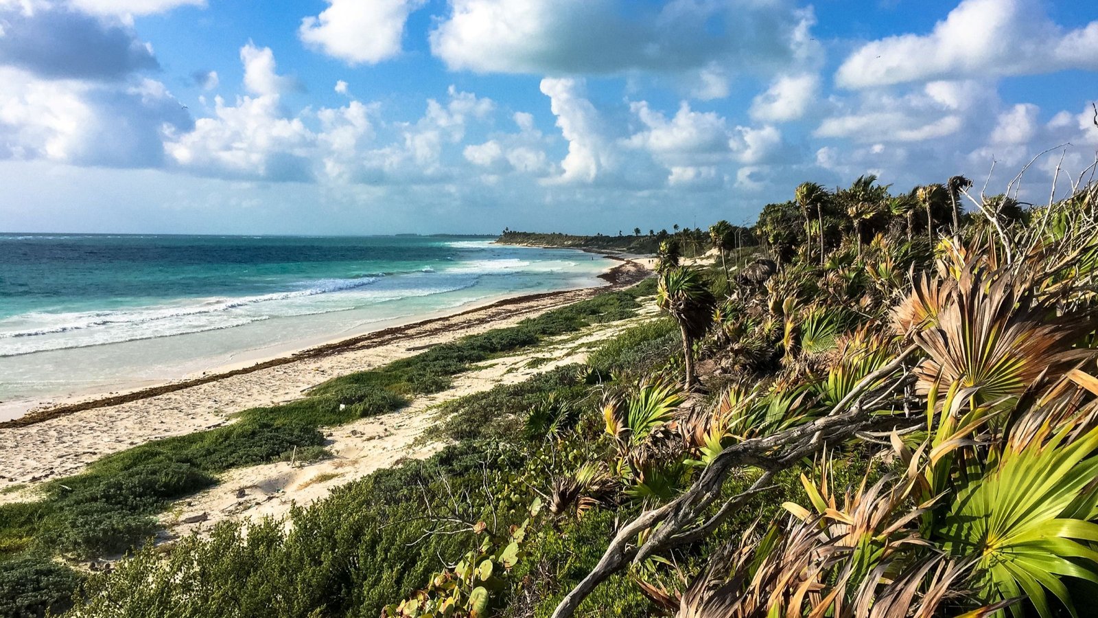 Paving Over Paradise: Conservationists Sound Alarm as Asphalt Advances into Sian Ka’an