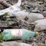 Plastic Payday: Can Israel’s Trash-for-Cash Gambit Truly Clean Up the Coast?
