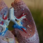 Pneumonic Plague Alert: Kerala Health Experts Allay Fears, Ruling Out Immediate Threat to India