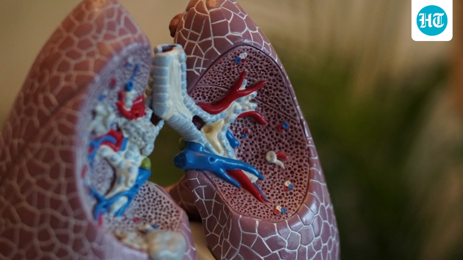 Pneumonic Plague Alert: Kerala Health Experts Allay Fears, Ruling Out Immediate Threat to India
