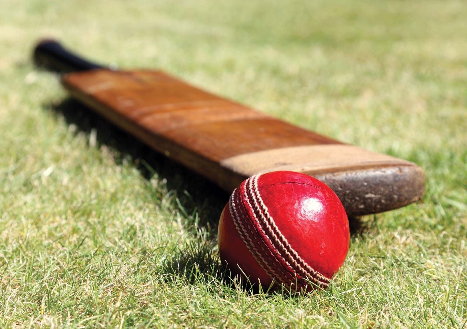 Pretorius Shatters World Records in Historic T20 Batting Masterclass