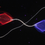 Quantum Isolation Shattered: How Qubits Instantly Bridge the Gap to Their Environment